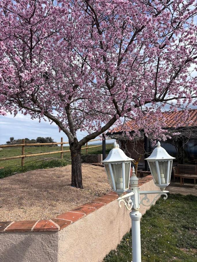 Casa Rural Explora, Pastores Kültér fotó